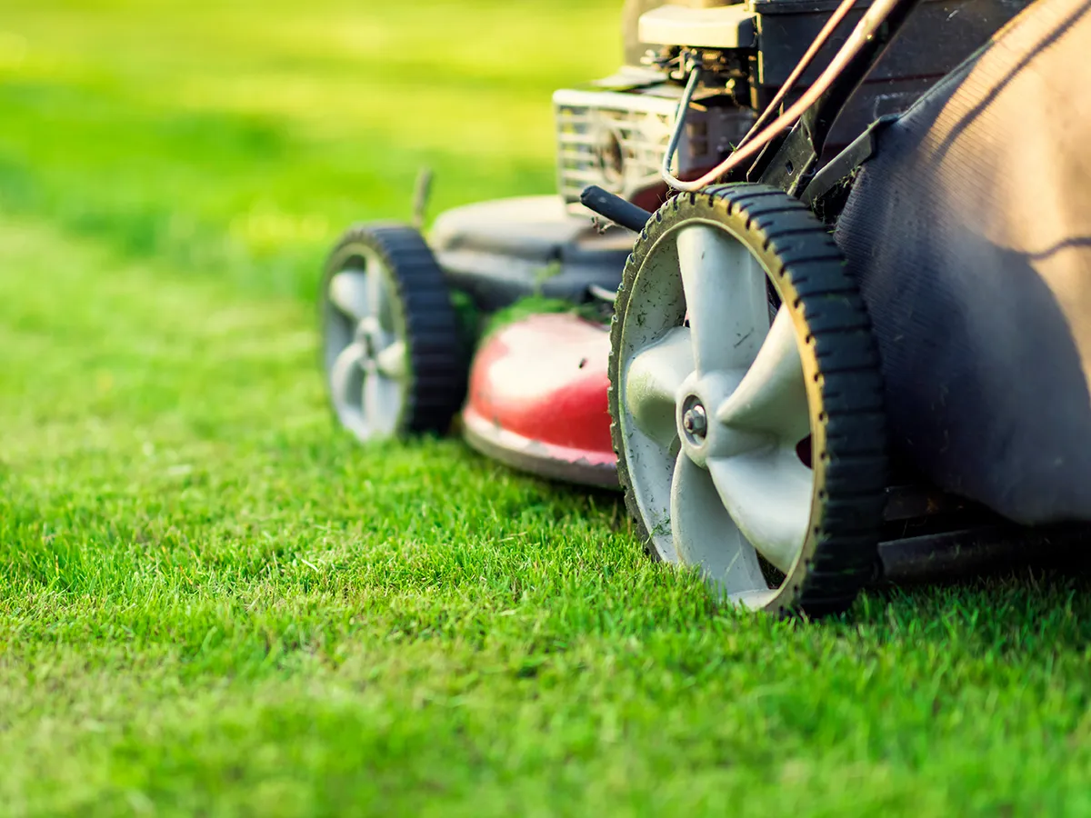 lawncare maintenance provided patio home