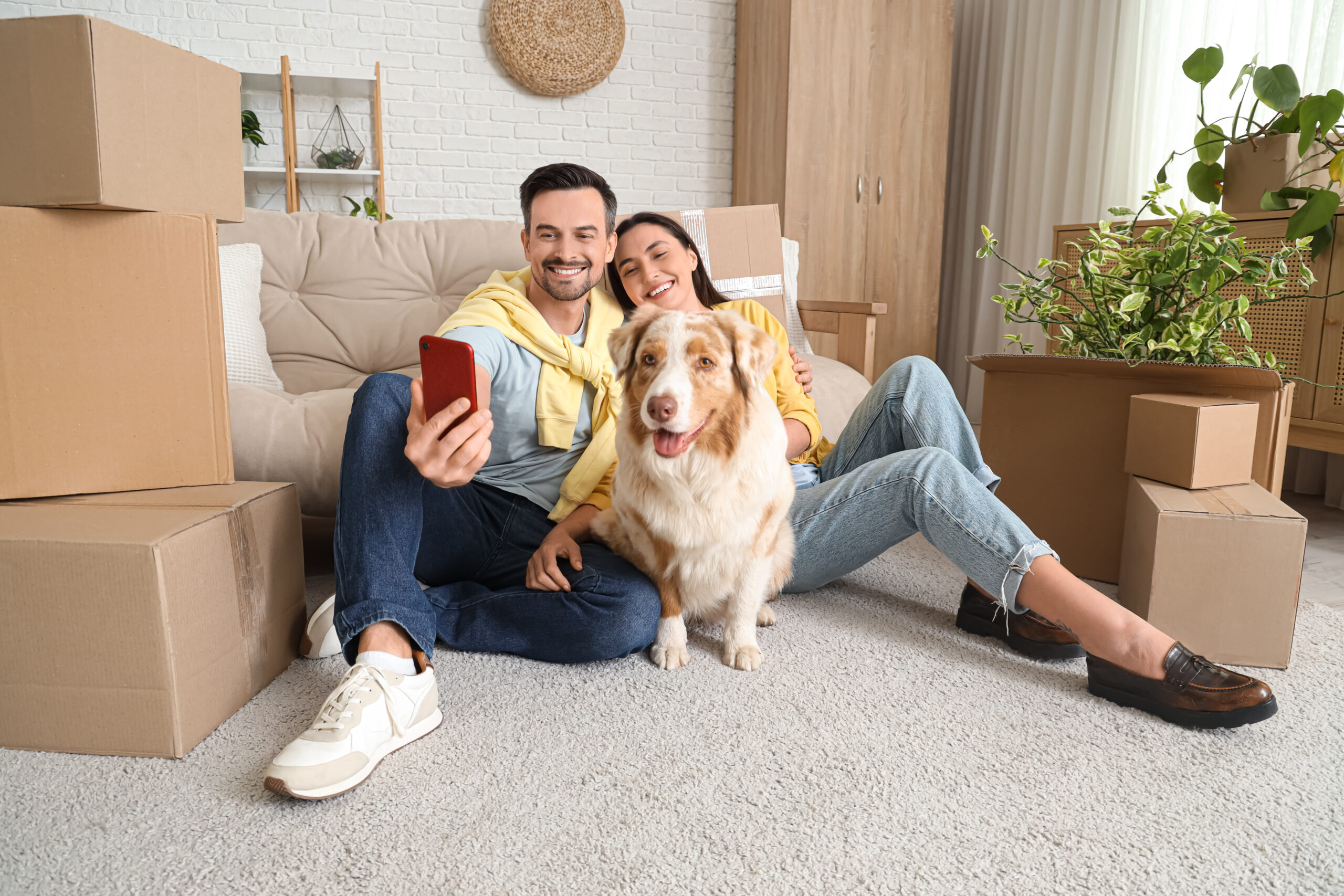 Young couple with Australian Shepherd dog taking selfie in room on moving day