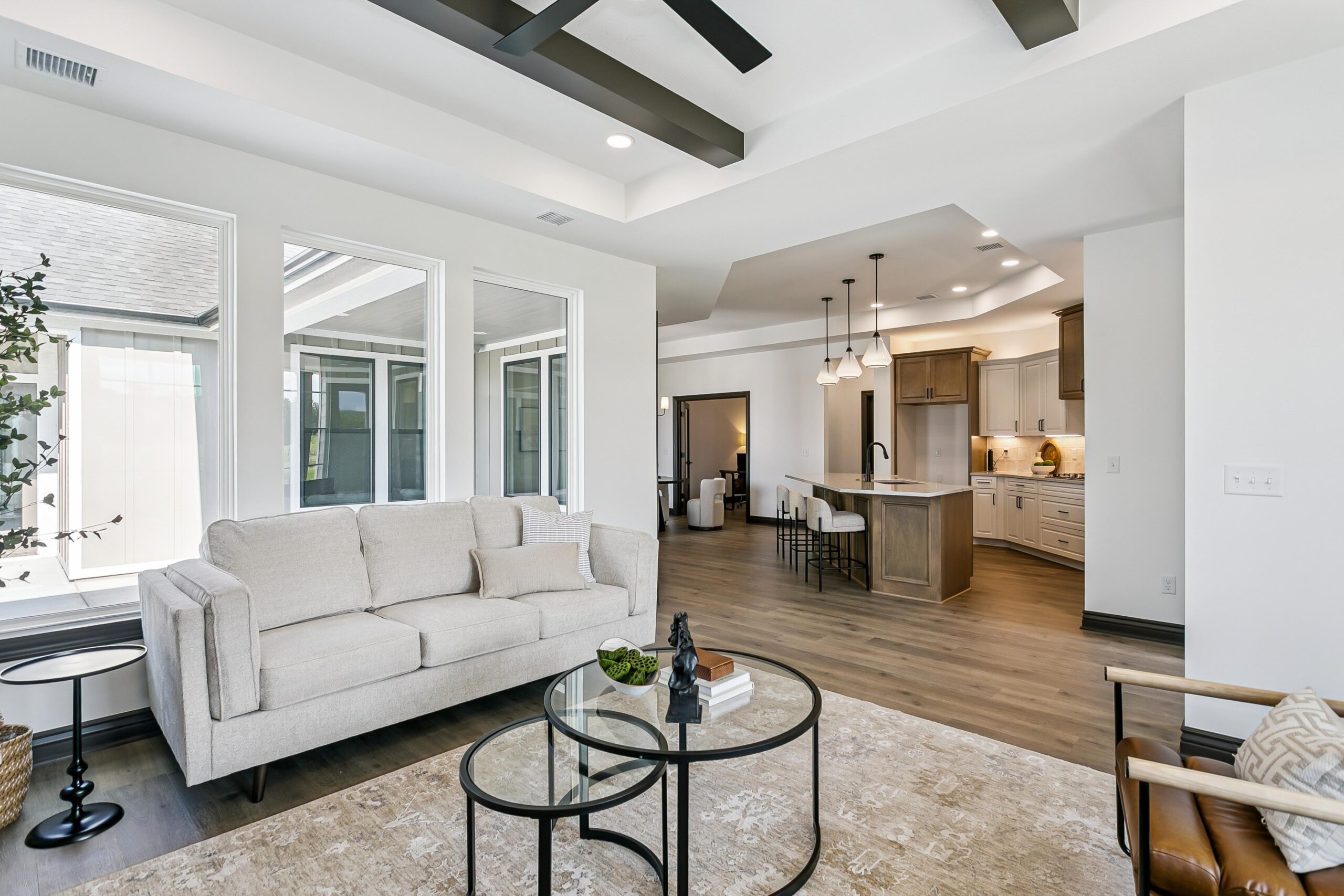 06-14113 W Barn Owl St-6