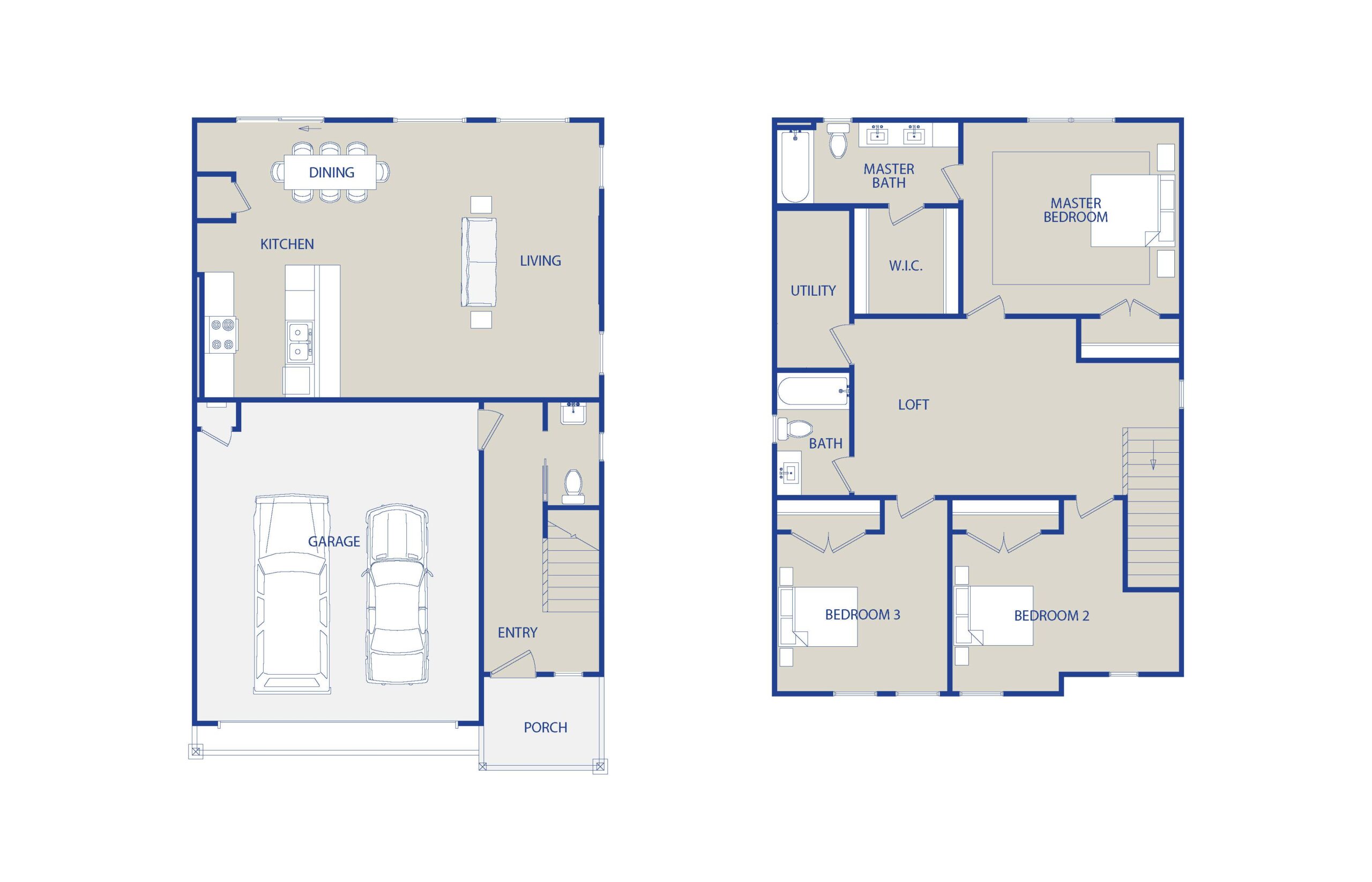 Cassia 03_base